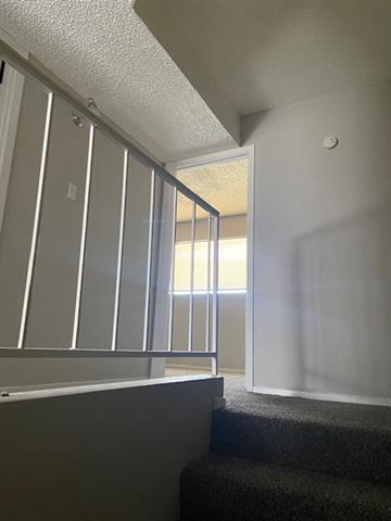 Building Photo - 2400 Buffalo Gap Rd