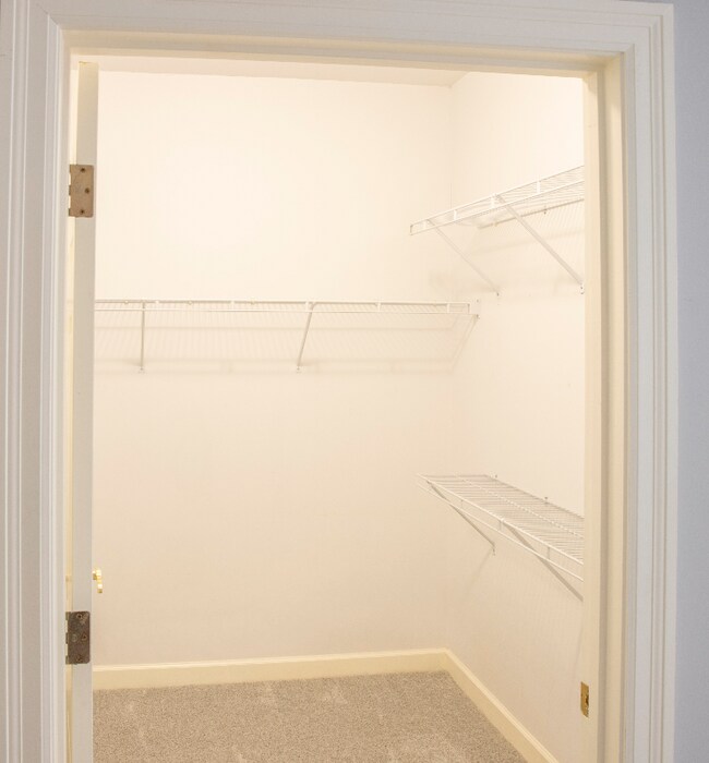 Building Photo - 13115 Mill Crossing Ct