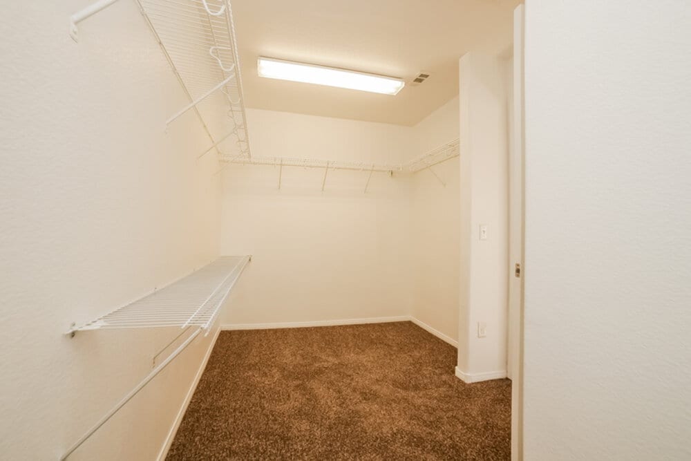 Building Photo - 408 Orchid Oasis Ave