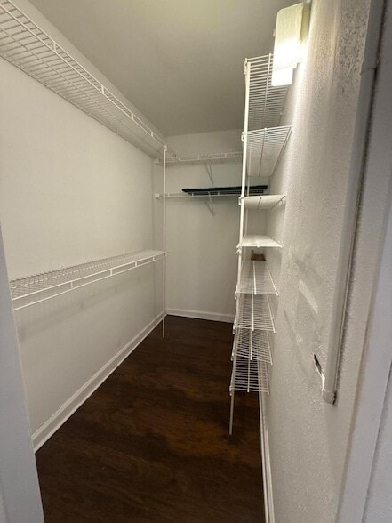 Building Photo - 516 Saxony Dr