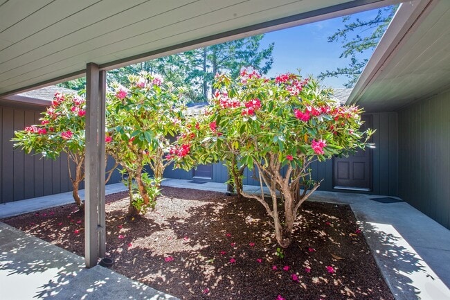 Building Photo - Edgewood Apartments