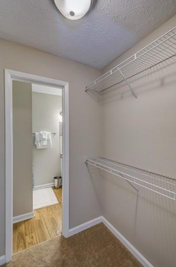 Building Photo - 3655 Westchase Village Ln