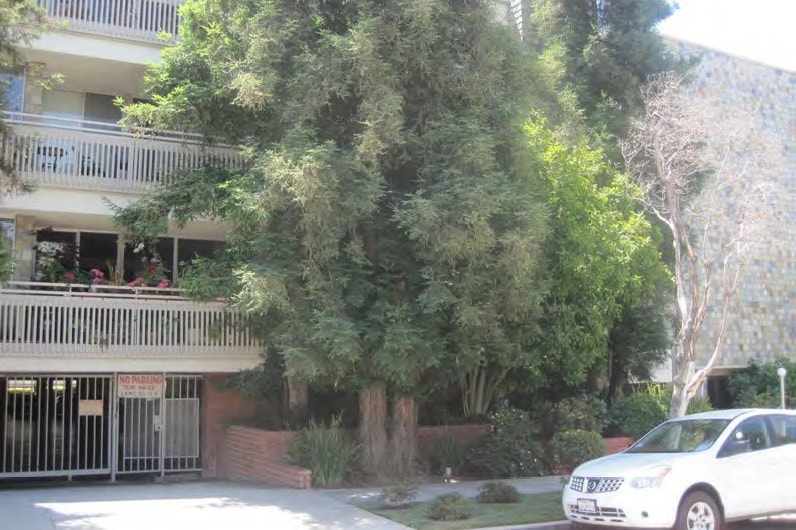 Montana Avenue - Chateau Brentana