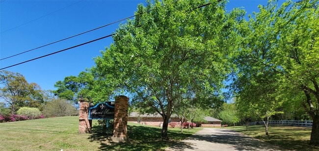 Building Photo - 13000 Main St