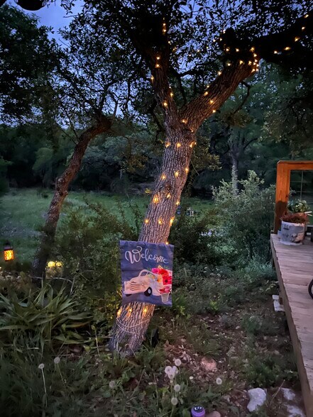 Building Photo - 1183 Lavaca