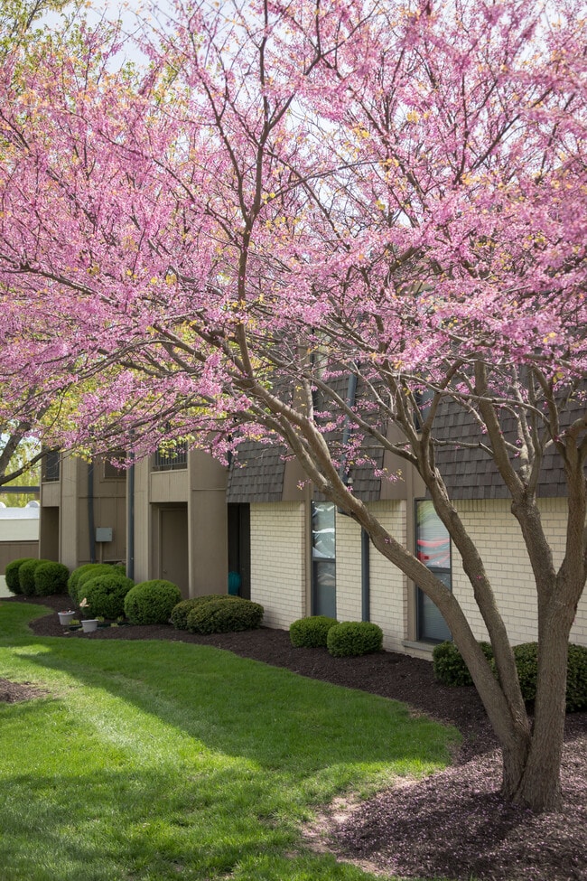 Building Photo - Chesterfield Place Apartments