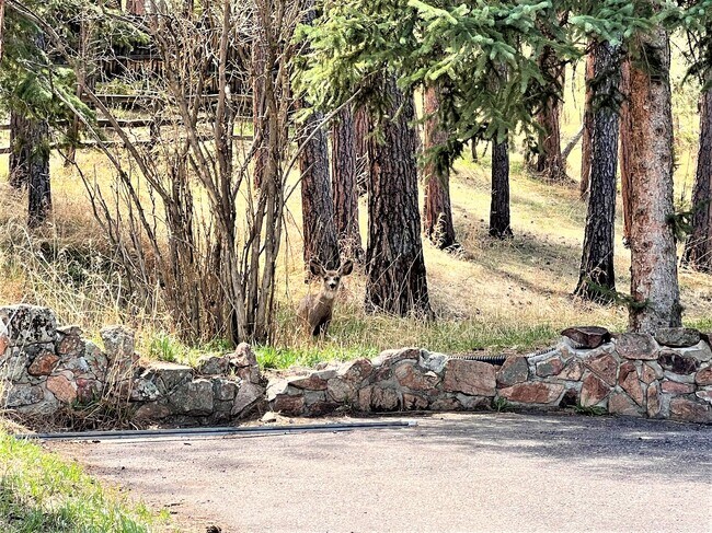 Building Photo - 5355 S Hatch Dr