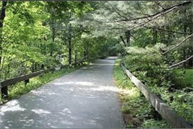 Building Photo - 16 Bedford St