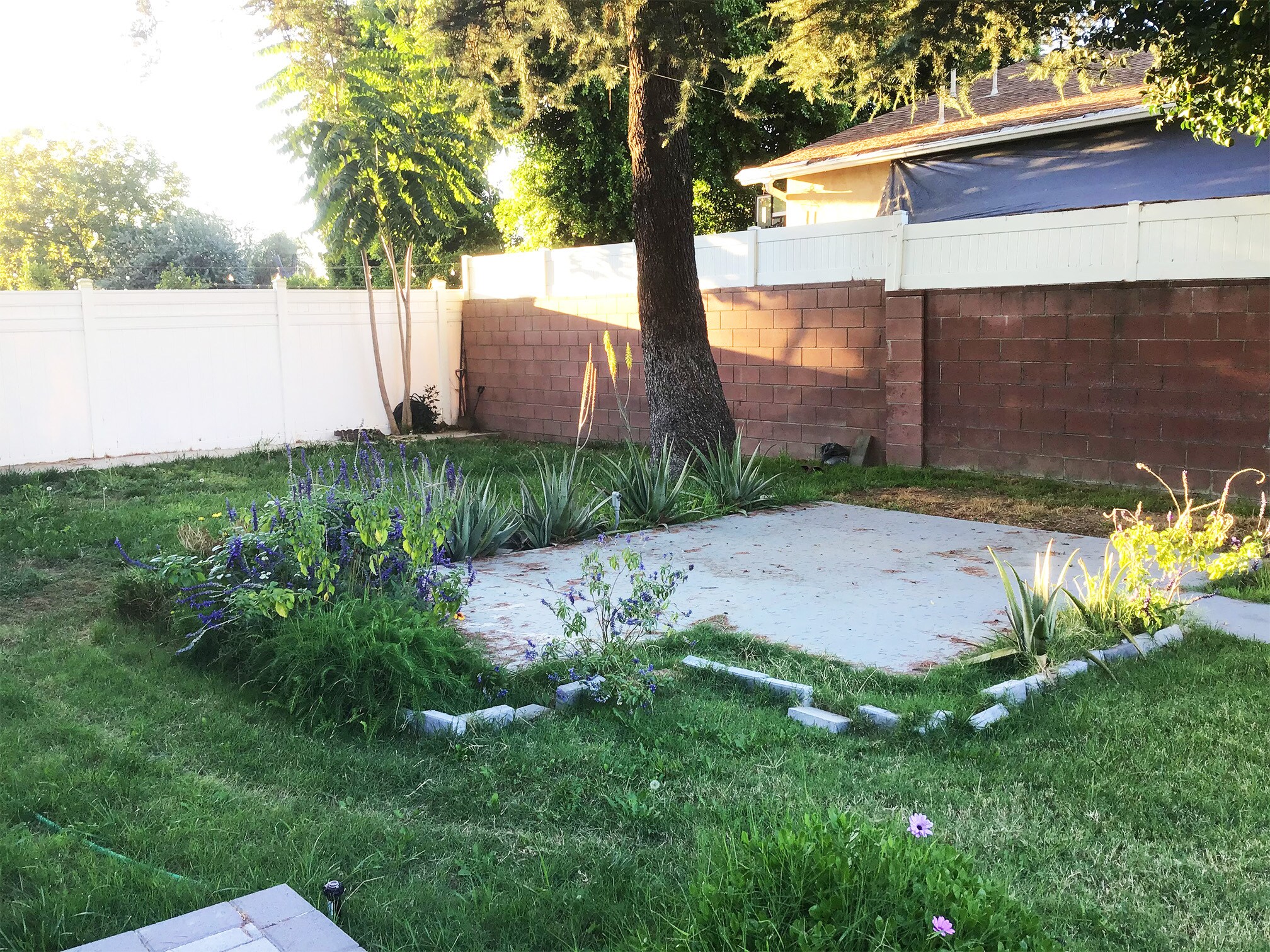 Backyard - 15341 Cohasset St