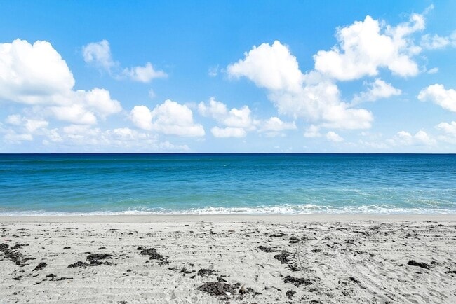 Building Photo - 1161 Hillsboro Mile Unit 207