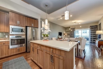 Building Photo - Designer Interiors. Premier Location. Effo...