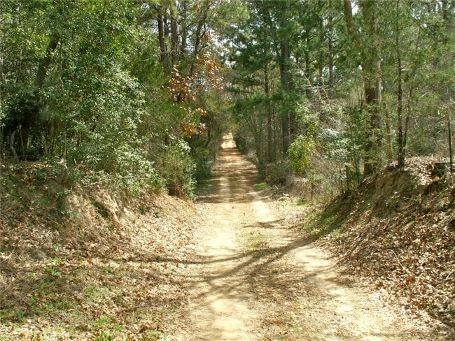 Building Photo - 143 Old Piney Trail