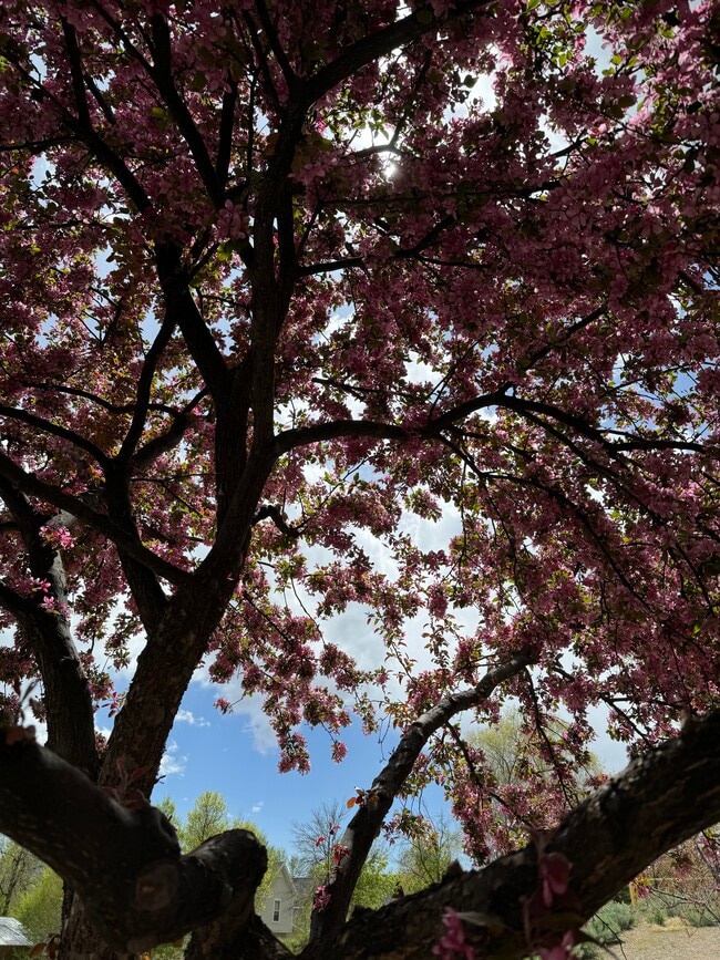 Building Photo - 78 Jameson Dr