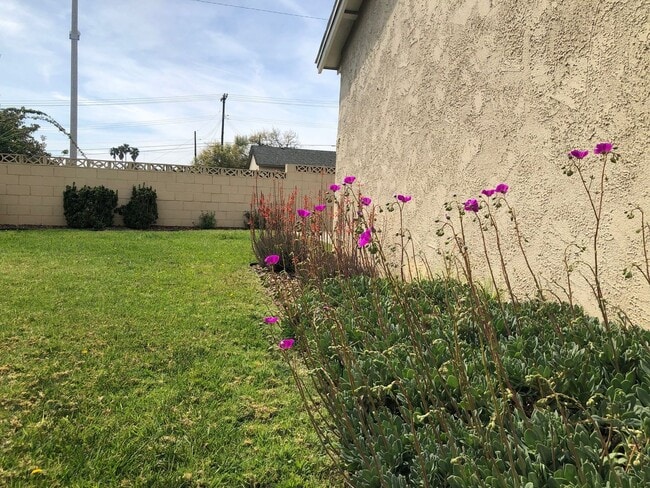 Building Photo - Central Ventura Home with Large Yard!
