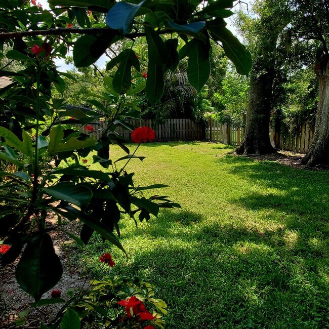 Building Photo - Location, convenience, comfort. This 4 bedroom plus den, 2 bath has it all!