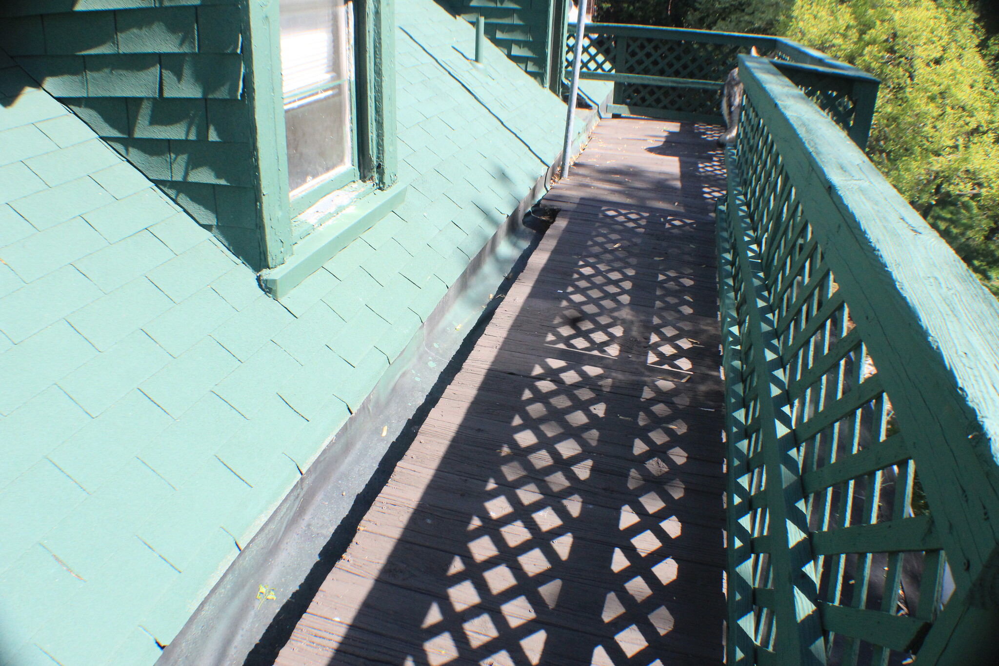 Balcony - 266 S Prospect St
