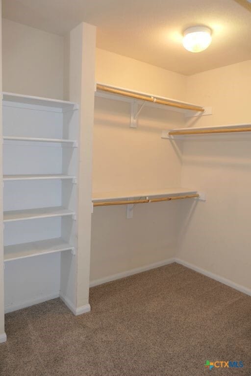 Building Photo - 413 Cattail Cir