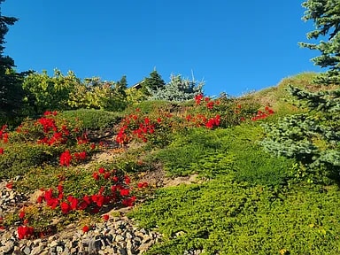 Building Photo - 2467 Twin Peaks Vw