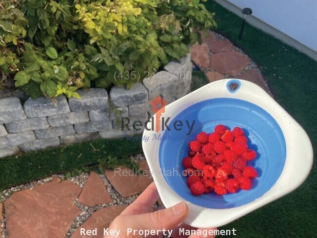 Building Photo - Brigham Ct. Single Family Home