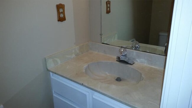 Building Photo - 3049 McVay Trail Dr