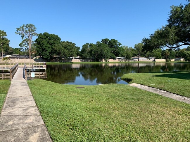 Building Photo - South Tampa Condo