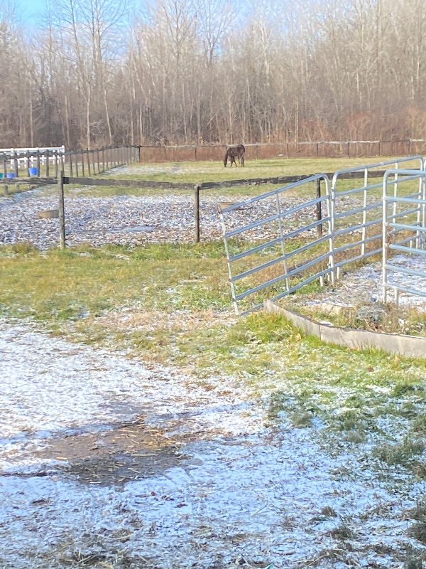 Building Photo - 4924 NY-96