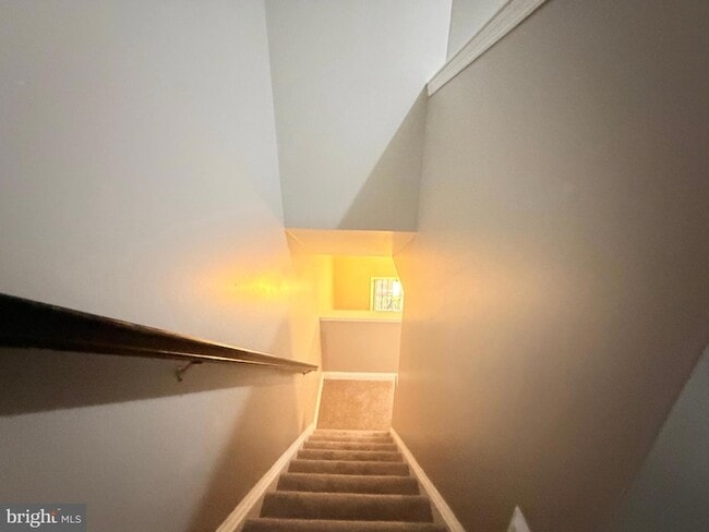 Building Photo - 4805 Cowslip Ct