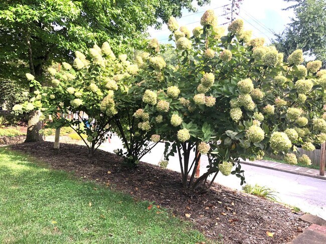 Building Photo - Central - Beautifully Restored and Updated Apartment