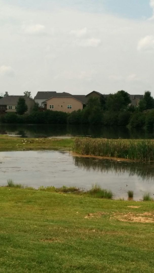 Building Photo - 4BR in sought after Centennial Lakes