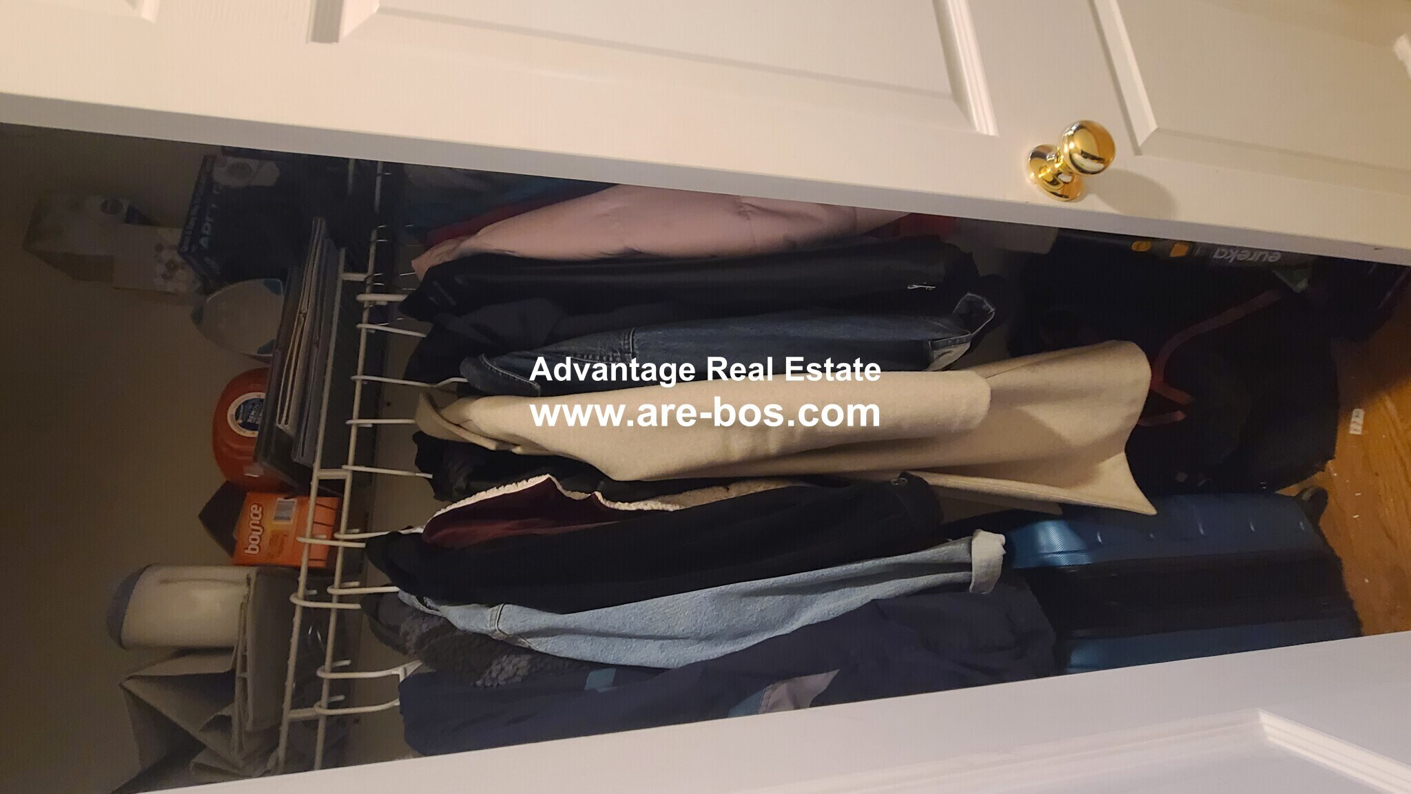 Building Photo - 66 Egmont St