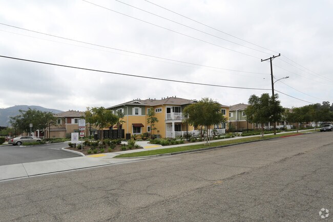 Primary Photo - Rodney Fernandez Gardens