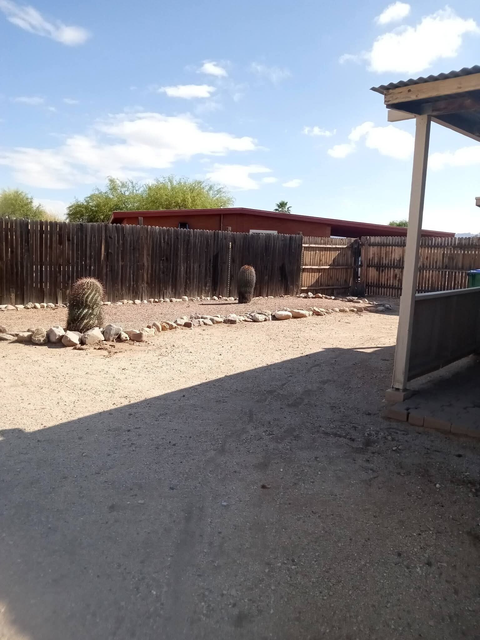 Cactus ?? garden - 7088 N Moonsong Ter
