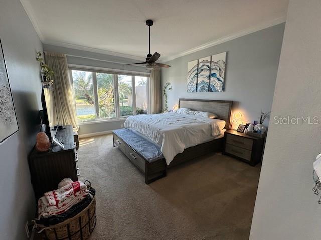 Building Photo - 8734 52nd Ave E