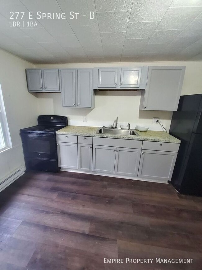 Building Photo - 1-bedroom, 1-bathroom apartment in Nanticoke!