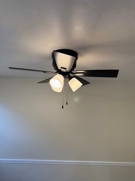 Dinning Room Ceiling Fan - 828 Maury Ave