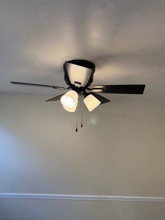 Dinning Room Ceiling Fan - 828 Maury Ave
