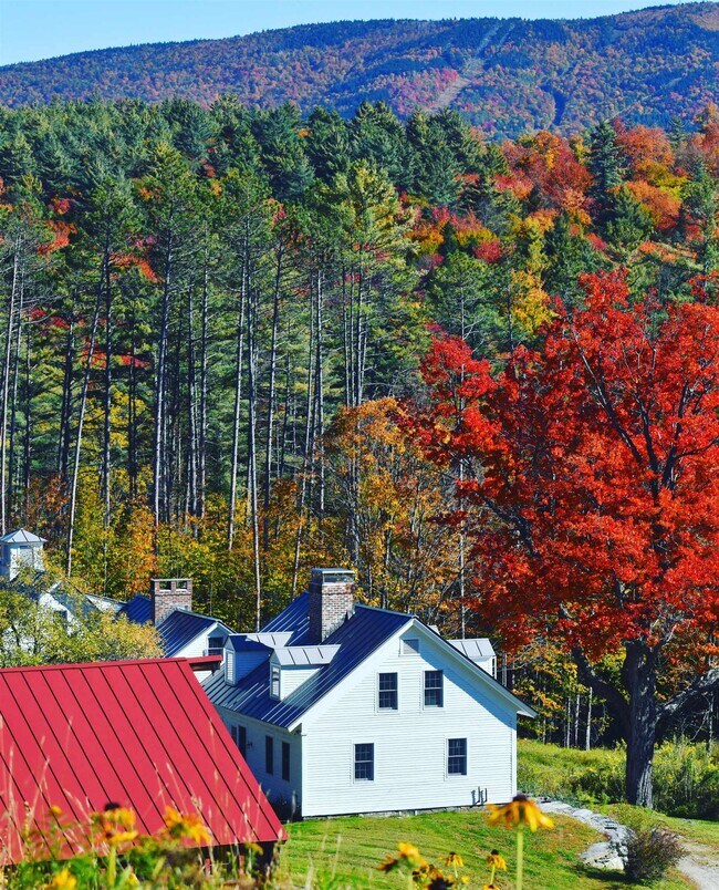 Primary Photo - 4669 Vermont Rte 100