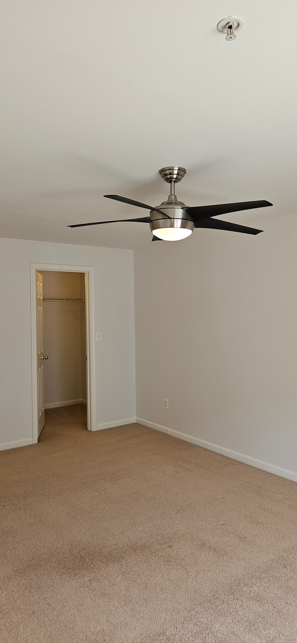 Building Photo - 12332 Rollys Ridge Ave