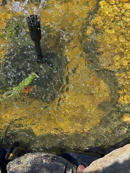 Building Photo - 641 Old Town Rd