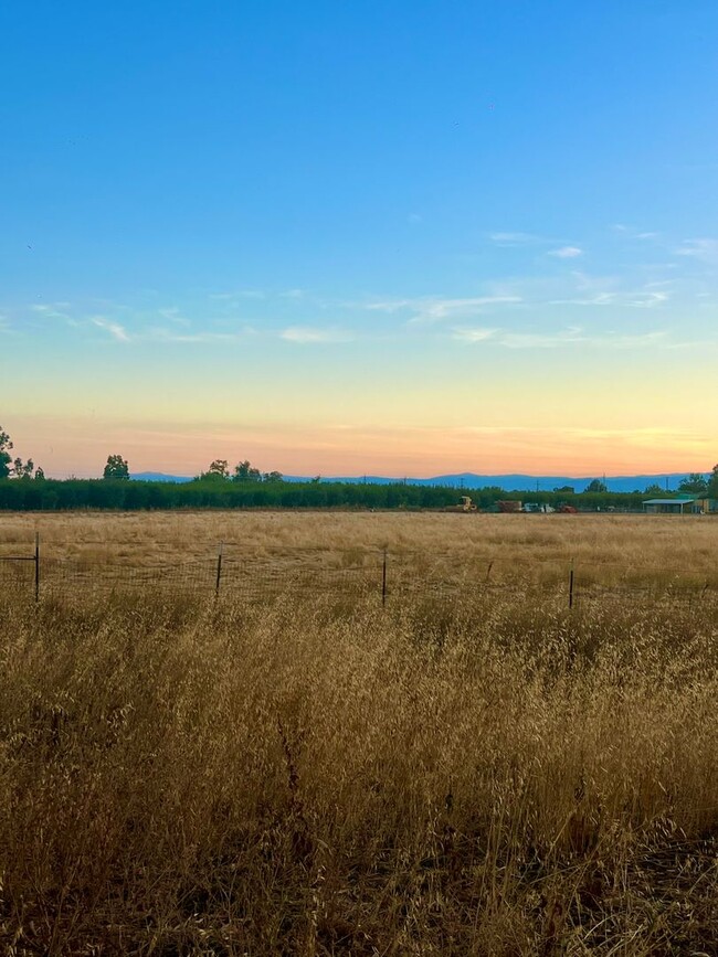 Building Photo - Beautiful New 3/2 Horse Property