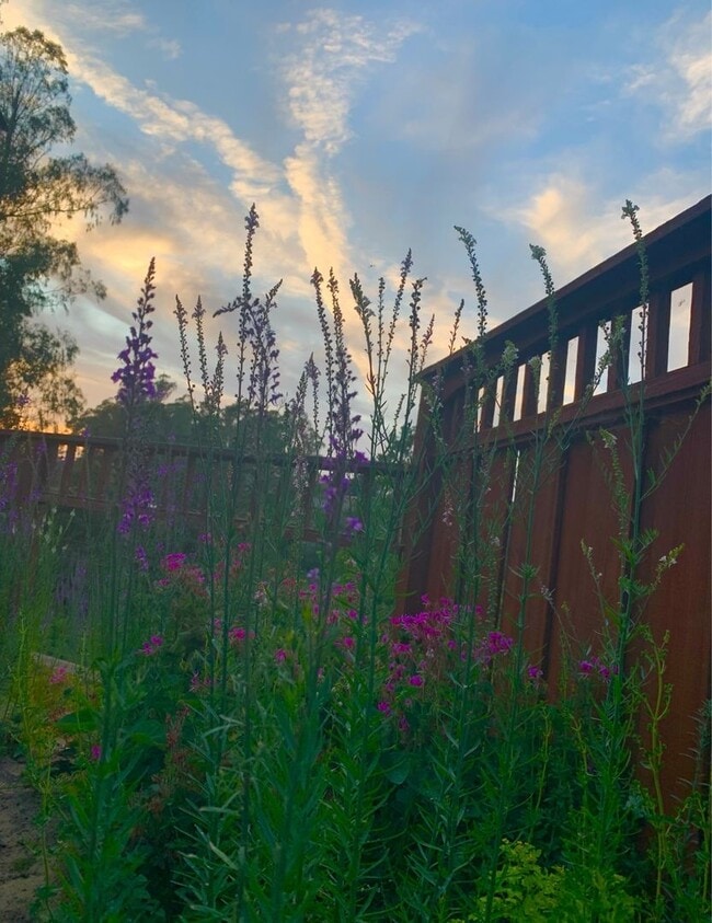 Building Photo - Charming Studio in La Selva!