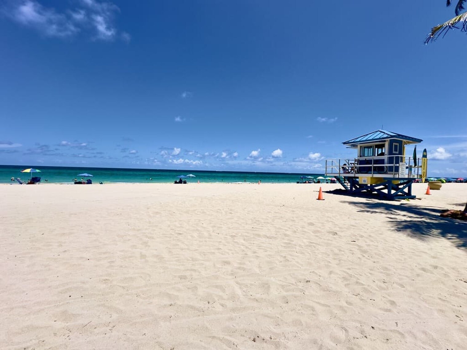 Building Photo - 104 Harding St