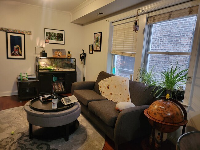 Building Photo - 7627 N Greenview Ave