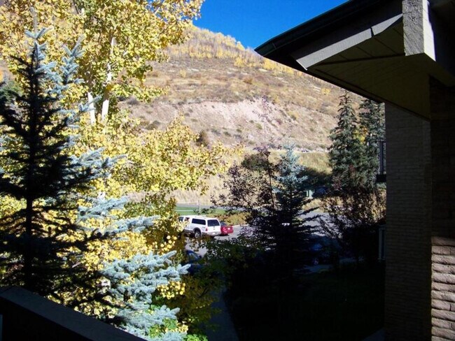 Building Photo - 1020/1-1021 Vail View Dr