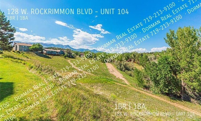 Building Photo - Updated studio condo in Rockrimmon