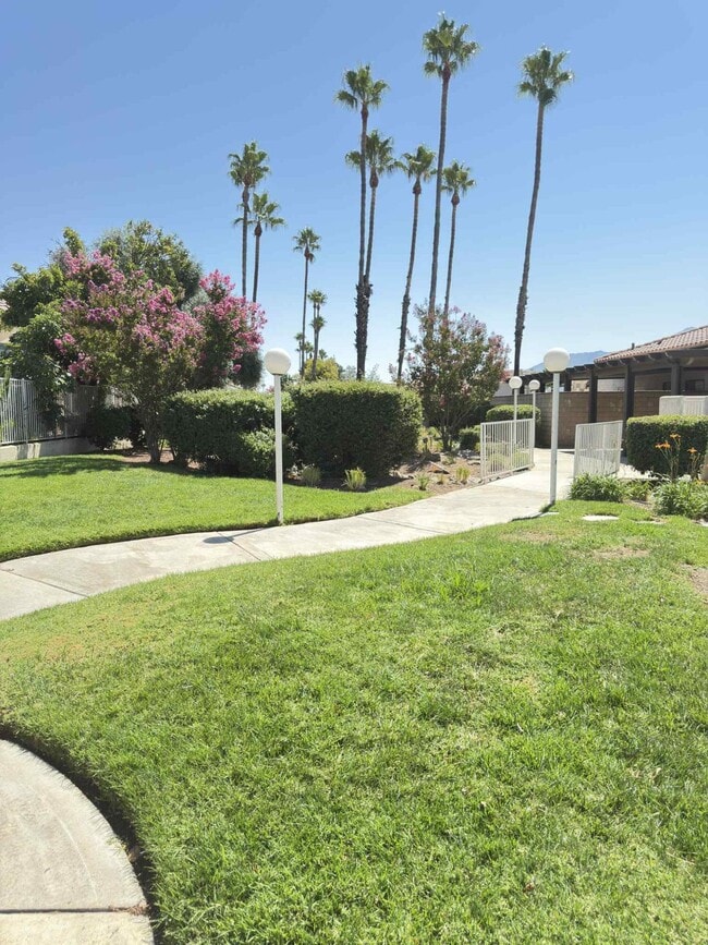 Building Photo - 2890 Summer Set Cir