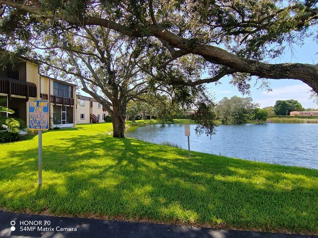 Building Photo - Rent to Own Bright 2B/1B Condo – St. Andrews Cove, Clearwater