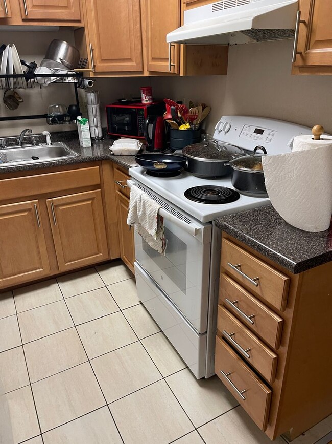 Building Photo - 2-BED Allston pet friendly