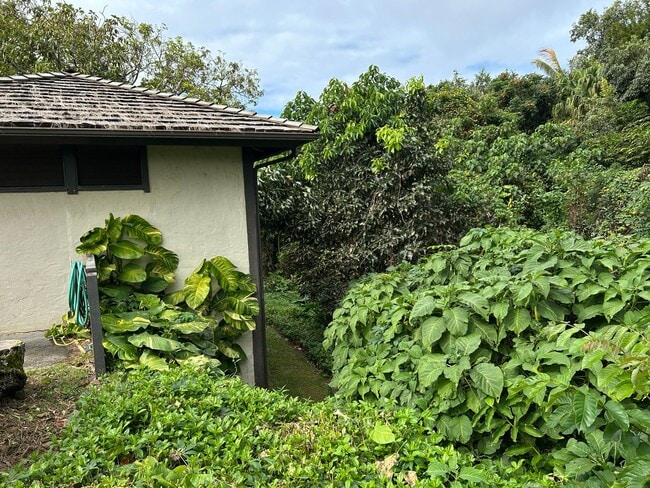 Building Photo - Rare Detached 1BR Sanctuary in Princeville