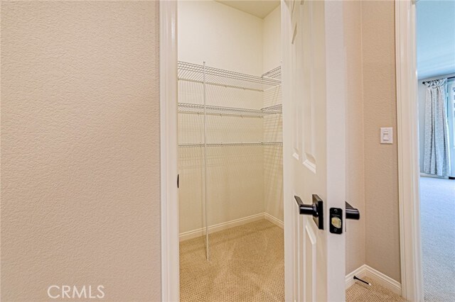 Building Photo - 1705 Almond Tree Pl